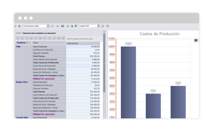 Costos de producción